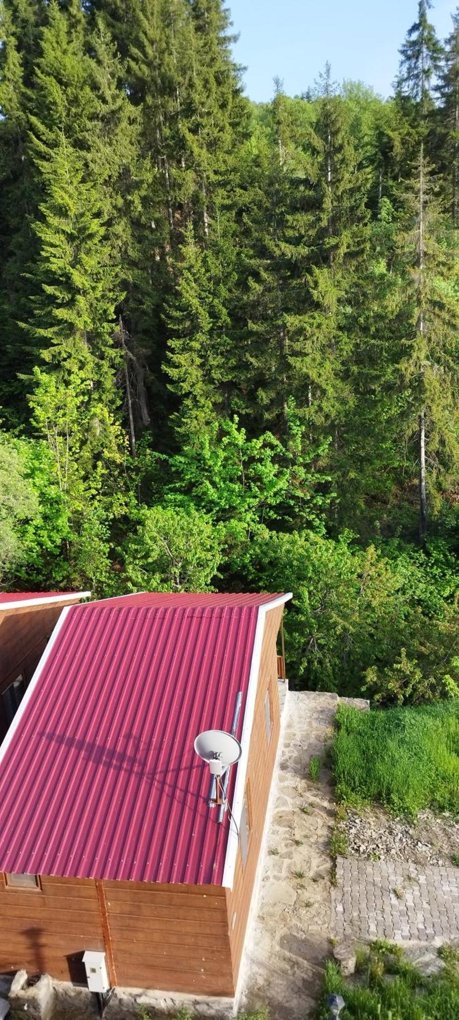 Danzot Tatil Koeyue Villa Artvin Buitenkant foto